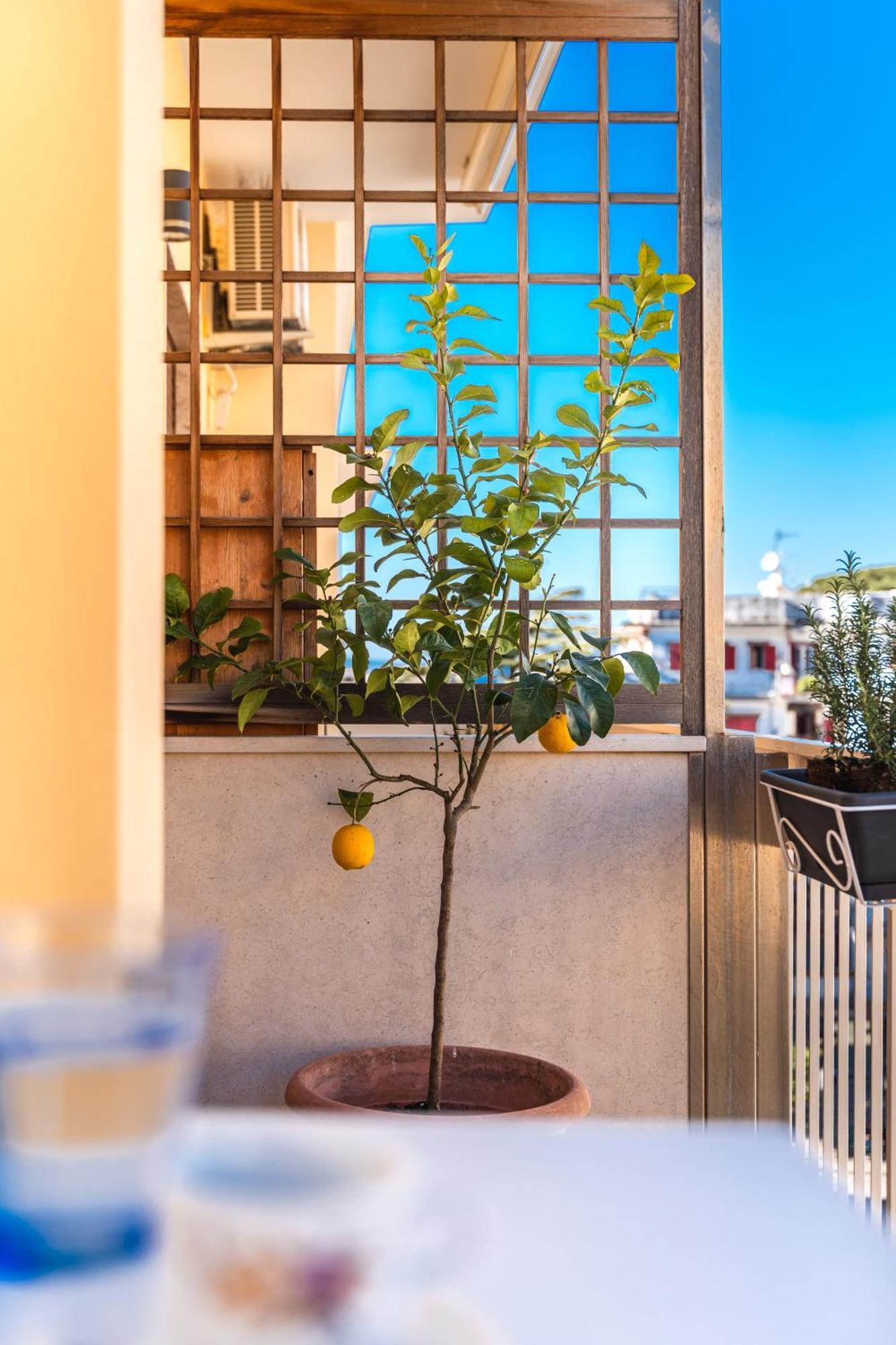 Sorrento Central Flats Εξωτερικό φωτογραφία